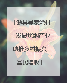 勉县吴家湾村：发展烤烟产业 助推乡村振兴富民增收