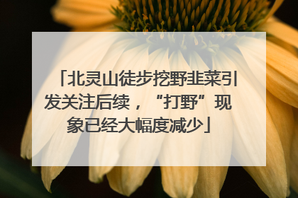北灵山徒步挖野韭菜引发关注后续，“打野”现象已经大幅度减少
