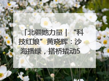 北疆她力量｜“科技红娘”黄晓辉：沙海播绿，搭桥撬动5.3亿研发
