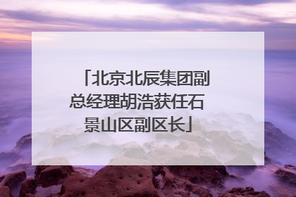 北京北辰集团副总经理胡浩获任石景山区副区长