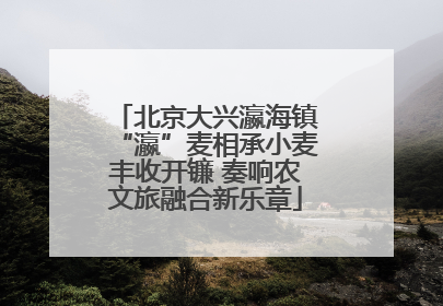 北京大兴瀛海镇“瀛”麦相承小麦丰收开镰 奏响农文旅融合新乐章