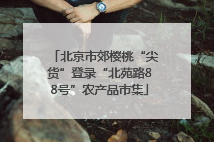 北京市郊樱桃“尖货”登录“北苑路88号”农产品市集