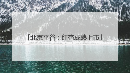 北京平谷：红杏成熟上市