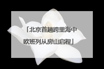 北京首趟跨里海中欧班列从房山启程
