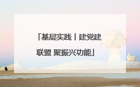 基层实践丨建党建联盟 聚振兴功能