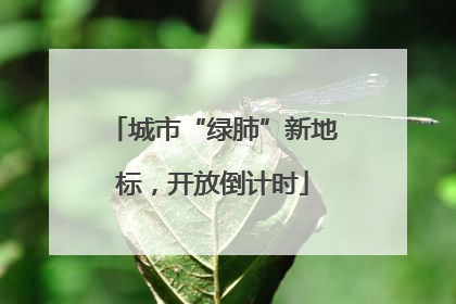 城市“绿肺”新地标，开放倒计时