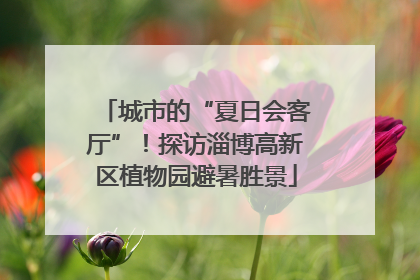 城市的“夏日会客厅”！探访淄博高新区植物园避暑胜景