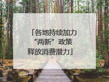 各地持续加力“两新”政策 释放消费潜力