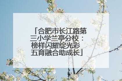 合肥市长江路第三小学兰亭分校：榜样闪耀绽光彩 五育融合助成长
