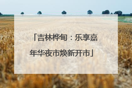 吉林桦甸：乐享嘉年华夜市焕新开市