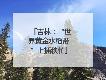 吉林：“世界黄金水稻带”上插秧忙