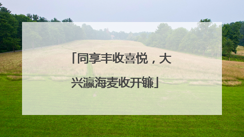 同享丰收喜悦，大兴瀛海麦收开镰
