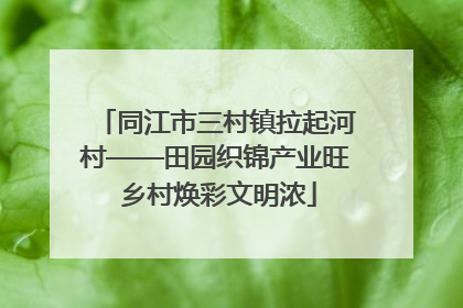 同江市三村镇拉起河村——田园织锦产业旺 乡村焕彩文明浓
