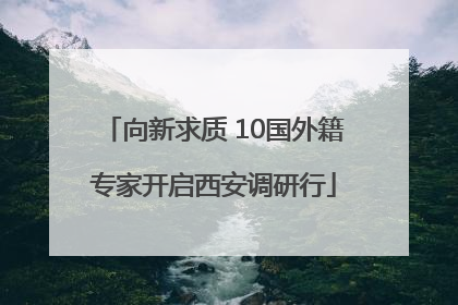 向新求质 10国外籍专家开启西安调研行