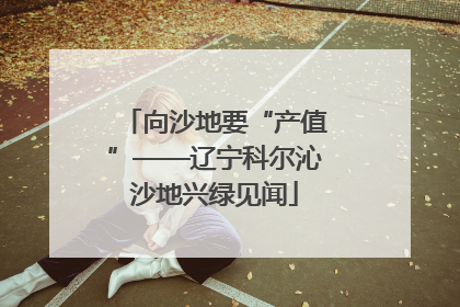 向沙地要“产值”——辽宁科尔沁沙地兴绿见闻