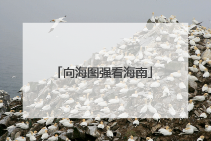 向海图强看海南