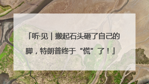 听·见｜搬起石头砸了自己的脚，特朗普终于“慌”了！