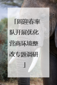 周迎春率队开展优化营商环境整改专题调研