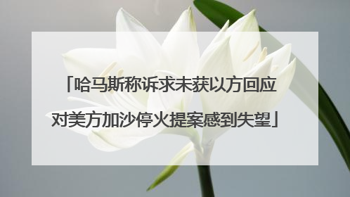 哈马斯称诉求未获以方回应 对美方加沙停火提案感到失望