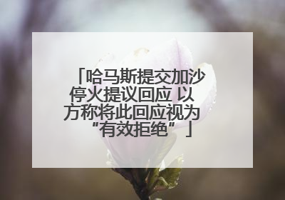 哈马斯提交加沙停火提议回应 以方称将此回应视为“有效拒绝”