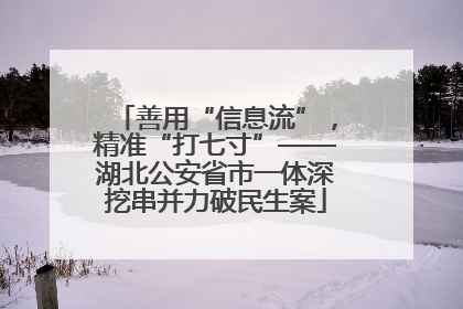 善用“信息流”，精准“打七寸”——湖北公安省市一体深挖串并力破民生案