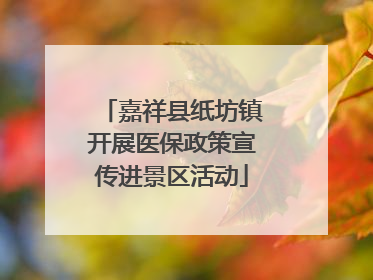 嘉祥县纸坊镇开展医保政策宣传进景区活动