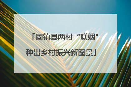 固镇县两村“联姻”种出乡村振兴新图景