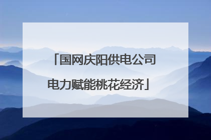 国网庆阳供电公司电力赋能桃花经济