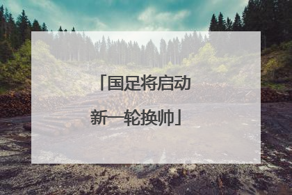 国足将启动新一轮换帅