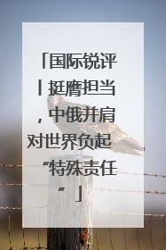 国际锐评丨挺膺担当，中俄并肩对世界负起“特殊责任”