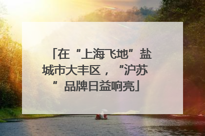 在“上海飞地”盐城市大丰区，“沪苏”品牌日益响亮