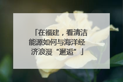 在福建，看清洁能源如何与海洋经济浪漫“邂逅”