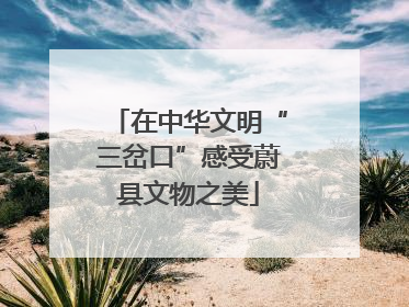 在中华文明“三岔口”感受蔚县文物之美