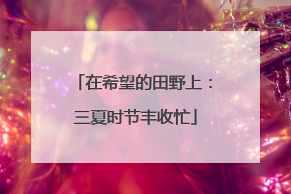 在希望的田野上：三夏时节丰收忙