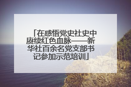 在感悟党史社史中赓续红色血脉——新华社百余名党支部书记参加示范培训