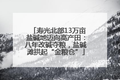 寿光北部13万亩盐碱地迈向高产田：八年改碱夺粮，盐碱滩拱起“金粮仓”