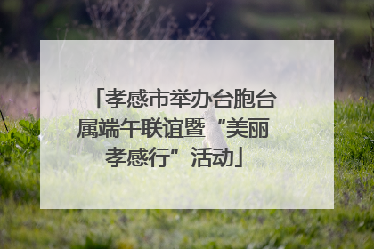 孝感市举办台胞台属端午联谊暨“美丽孝感行”活动