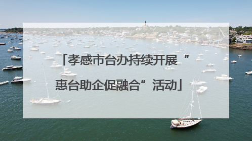 孝感市台办持续开展“惠台助企促融合”活动