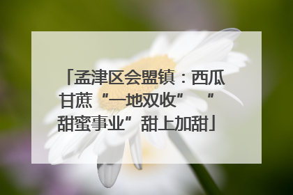 孟津区会盟镇：西瓜甘蔗“一地双收” “甜蜜事业”甜上加甜