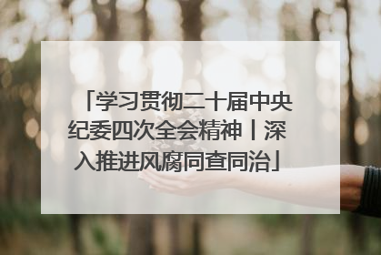 学习贯彻二十届中央纪委四次全会精神丨深入推进风腐同查同治