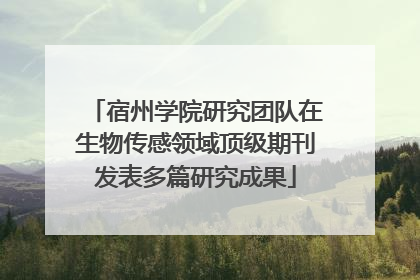 宿州学院研究团队在生物传感领域顶级期刊发表多篇研究成果