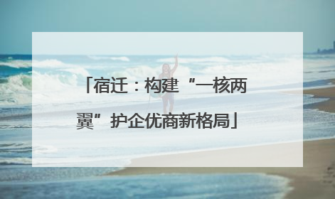 宿迁：构建“一核两翼”护企优商新格局