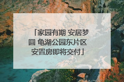 家园有期 安居梦圆 龟湖公园东片区安置房即将交付
