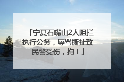 宁夏石嘴山2人阻拦执行公务，辱骂撕扯致民警受伤，拘！