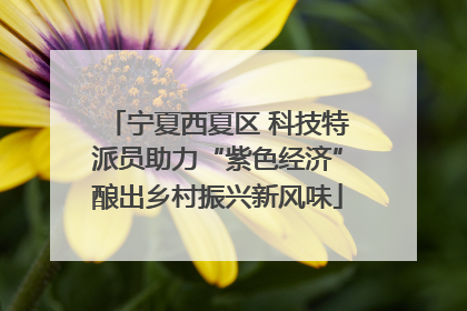 宁夏西夏区 科技特派员助力“紫色经济”酿出乡村振兴新风味