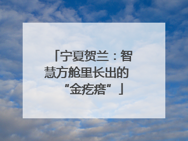 宁夏贺兰：智慧方舱里长出的“金疙瘩”
