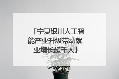 宁夏银川人工智能产业升级带动就业增长超千人