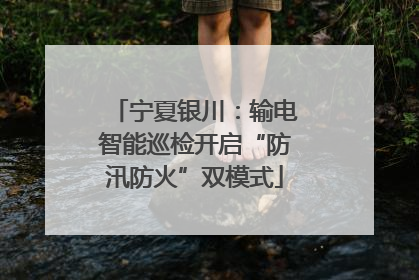 宁夏银川：输电智能巡检开启“防汛防火”双模式