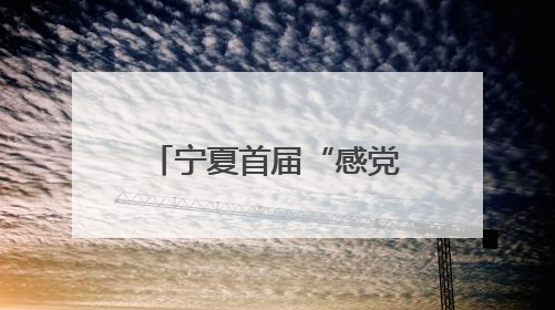 宁夏首届“感党恩·国家奖学金学子亲身说”资助育人演讲比赛落幕