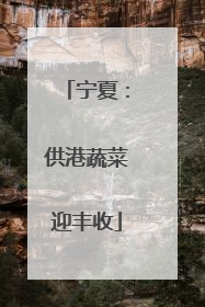 宁夏：供港蔬菜迎丰收